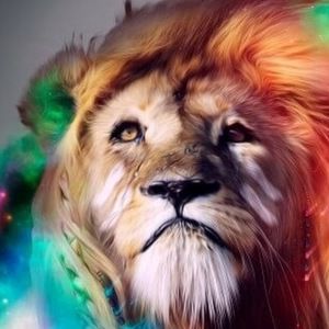 Meet your Posher, Chase